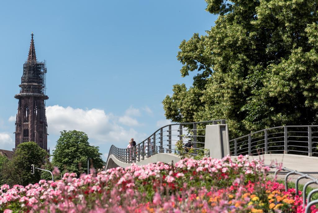 Boutique Apartments Am Stadtgarten Freiburg im Breisgau Kültér fotó